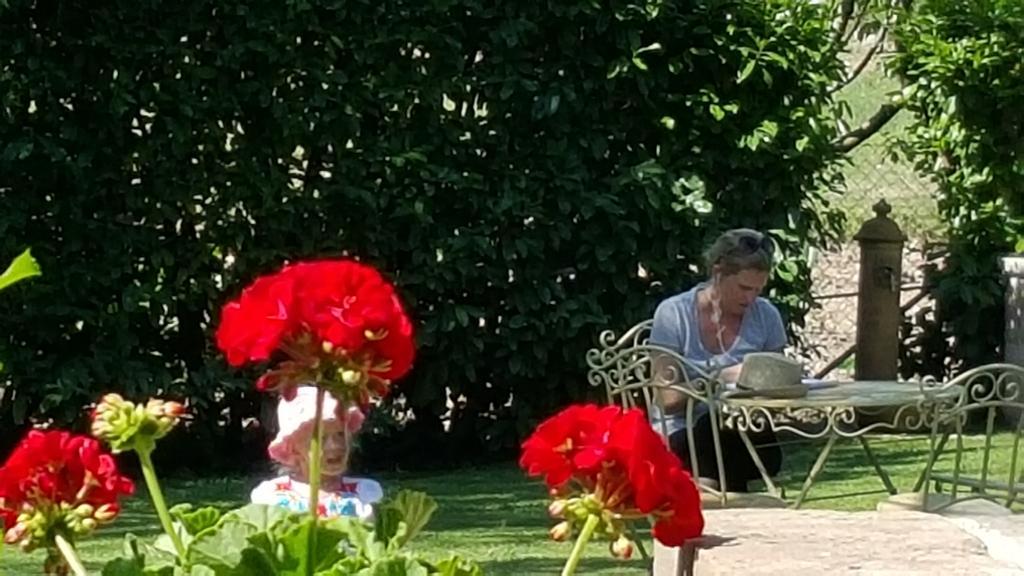 Agriturismo I Terzieri Ferentillo Екстер'єр фото